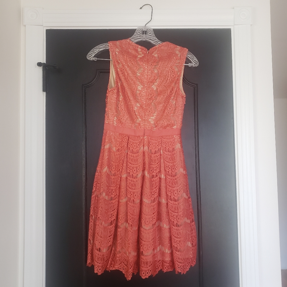 Francesca's Dress - Picture 2 of 3